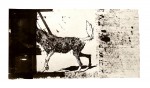 https://www.hlinovska.com/files/gimgs/th-65_20,7 x 11,2.jpg